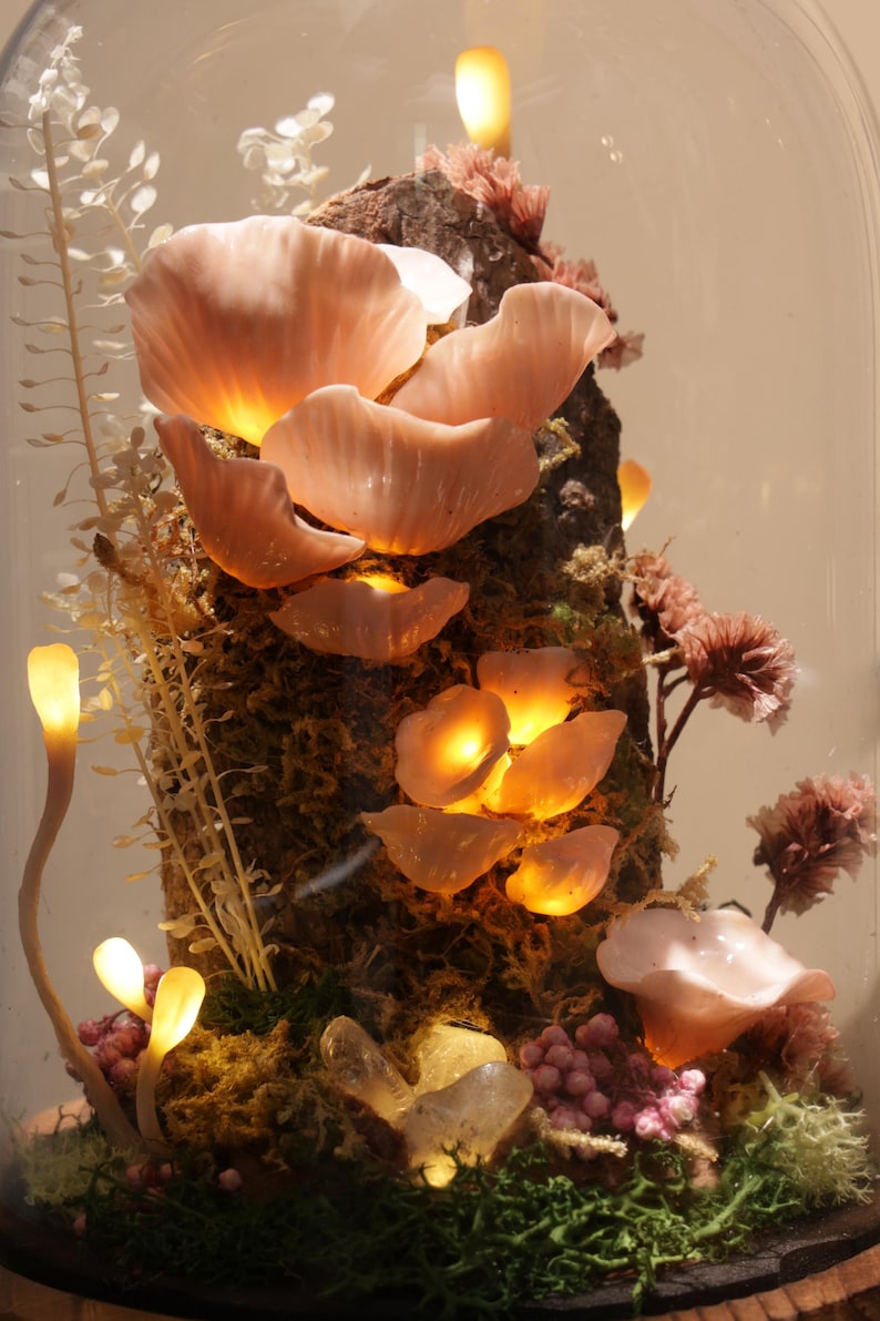 May include: A decorative terrarium featuring illuminated pink mushroom-like structures, moss, and other plant life under a glass dome. The warm lighting highlights the textures and colors of the miniature landscape, creating a whimsical display.