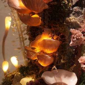 May include: A close-up of a decorative display featuring glowing, translucent pink mushroom-shaped objects. The mushrooms are set against a backdrop of moss, small crystals, and other floral elements, with warm lighting.