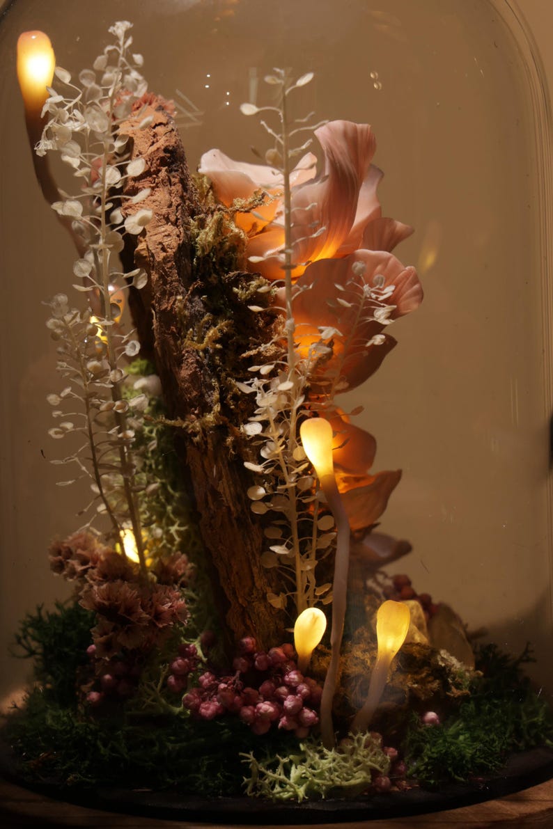 May include: A decorative glass cloche featuring a miniature illuminated woodland scene. The scene includes a piece of wood, moss, small pink berries, and glowing mushroom-shaped lights. The background is a warm, neutral tone.