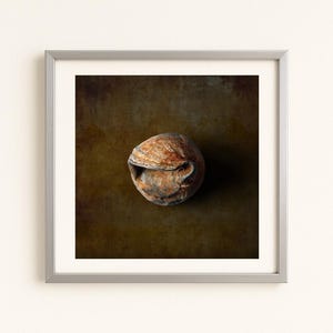 Könnte beinhalten: Gerahmter Druck mit einer Nahaufnahme eines strukturierten, braunen Objekts, möglicherweise einer Nuss oder einem Samen, vor einem dunklen, gesprenkelten Hintergrund. Das Objekt ist mittig positioniert, mit einer detaillierten, organischen Form. Der Rahmen ist aus einfachem, silberfarbenem Metall.