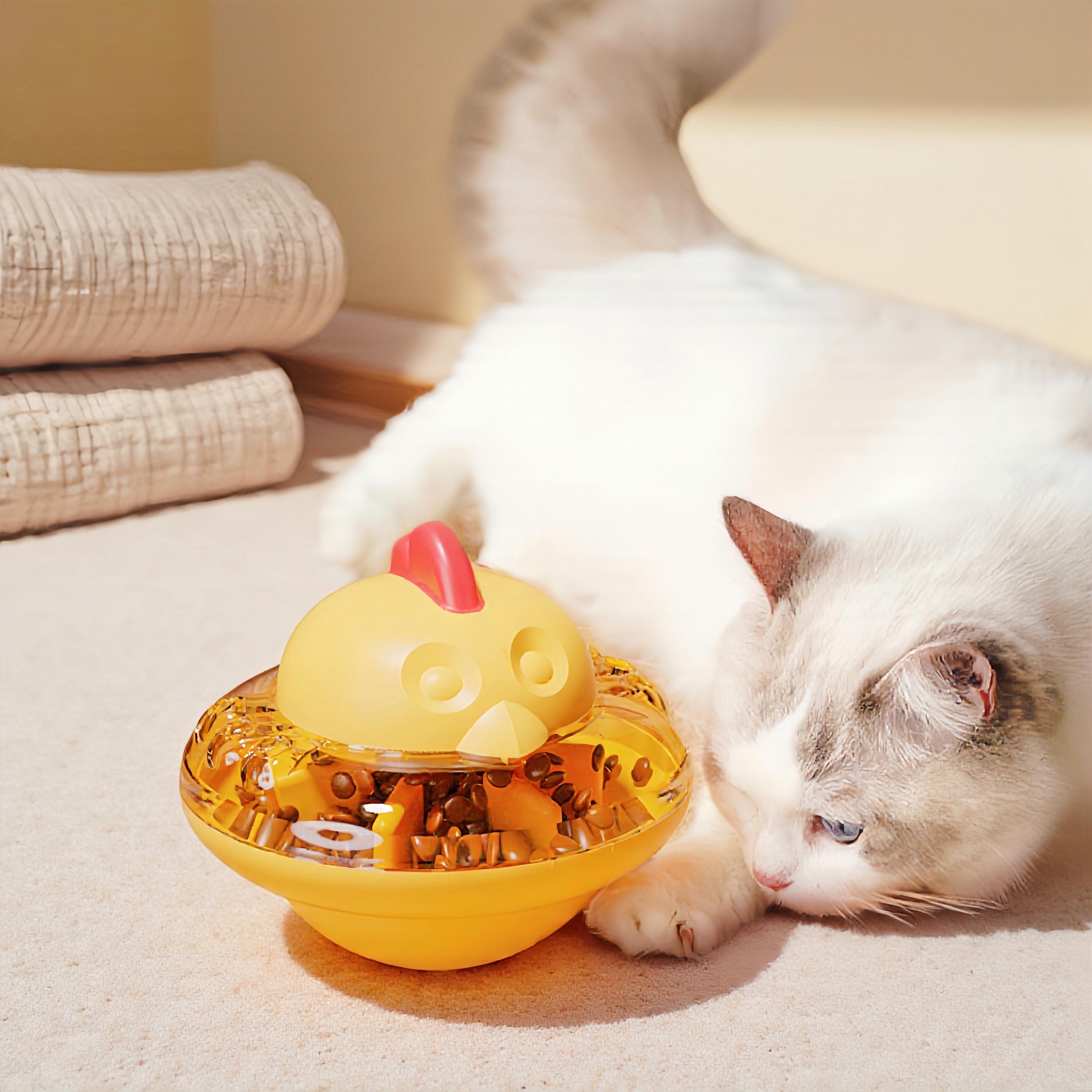 Cat Food Puzzle Diy Cat Toys Homemade Cat Puzzle Feeder Diy Cat