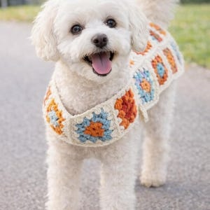 Patrón de suéter de crochet con parche de cachorro para perro – Cuadrados de la abuela, hilo merino (Descargar PDF)