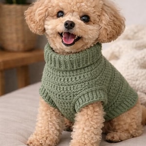 May include: A smiling, light brown poodle wearing a green, hand-knitted turtleneck sweater. The dog is sitting on a light-colored cushion, with a soft, textured background. The sweater is a solid, muted green color.