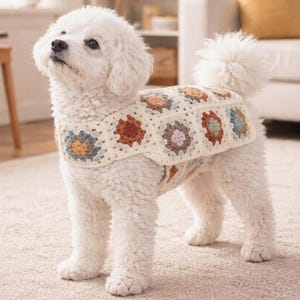 Pode incluir: Um cão branco e fofo usando um suéter de crochê creme com quadrados florais coloridos. O cão está em pé sobre um tapete de tons neutros, olhando para cima. O suéter apresenta detalhes em laranja, azul e marrom.