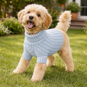 Peut inclure: Un chien brun clair portant un pull en tricot torsadé bleu clair, debout sur de l'herbe verte. Le chien a la gueule ouverte et semble sourire. L'arrière-plan comprend un feuillage vert et une maison.