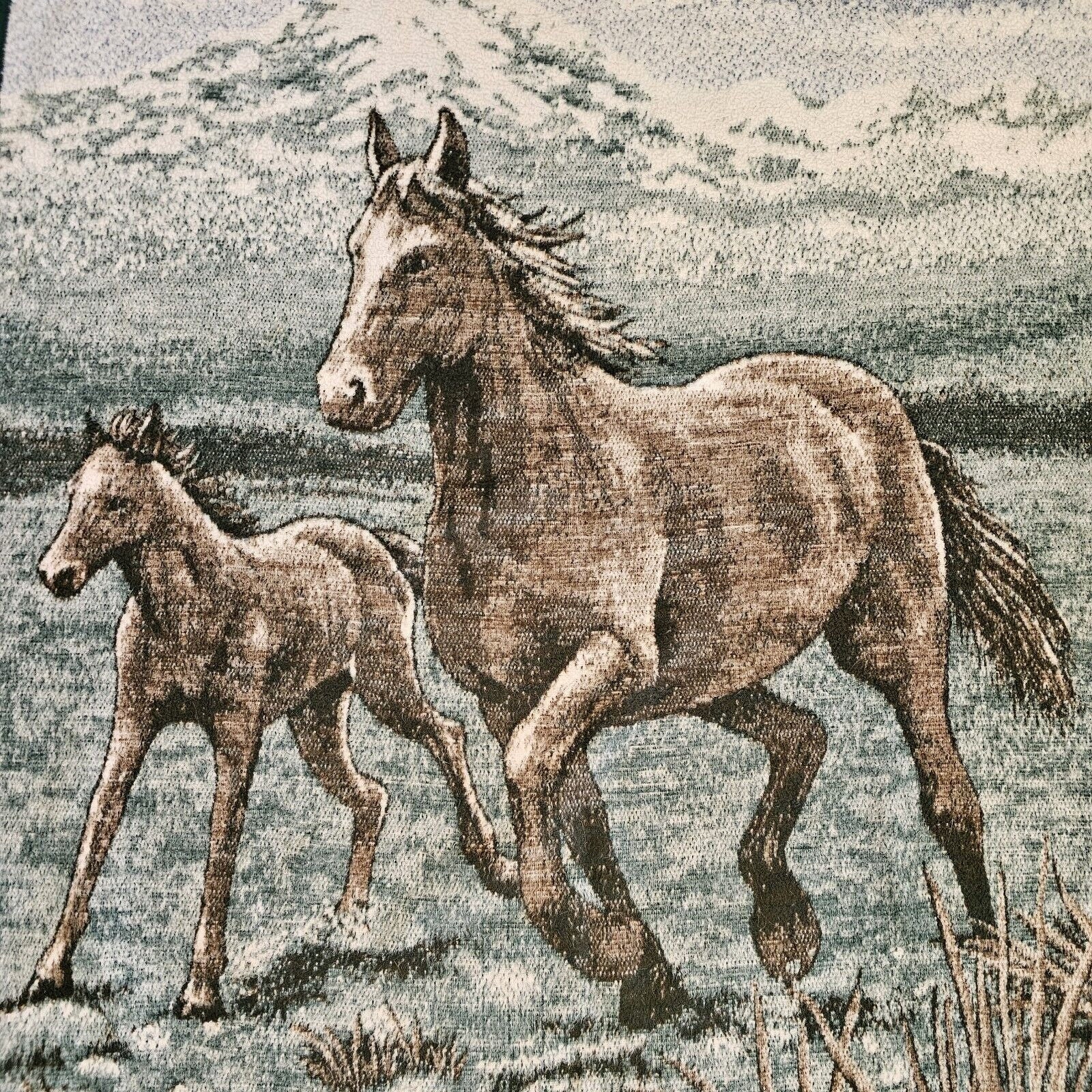 Biederlack blanket horse sale