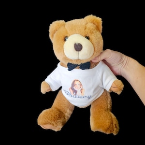 Britney Spears Bear - Etsy