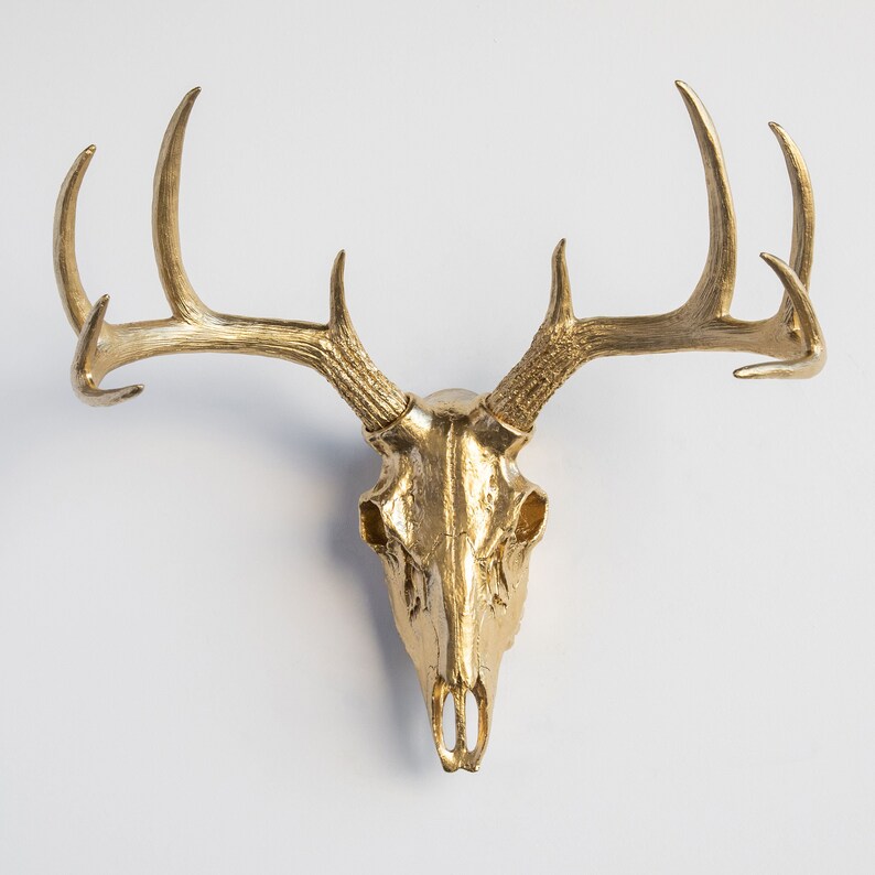 Faux Taxidermy Deer Skull Wall Decor Gold BS0808 Etsy