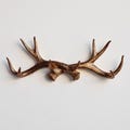 Faux Taxidermy Antler Wall Hook - Wall Decor - Bronze - AH09