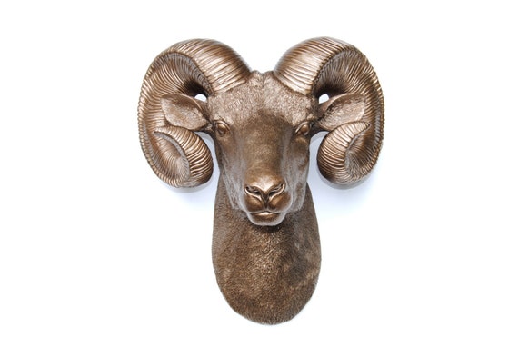 Wall Decor Bighorn A Sheep Huge Sheep Horn Wall Hanging Ram Skull Taxidermy