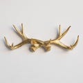 Faux Taxidermy Antler Wall Hook - Wall Decor - Gold - AH08