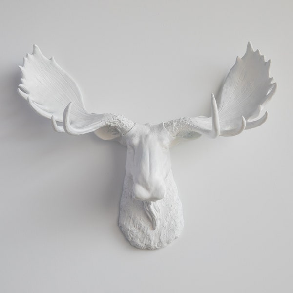 Faux Taxidermy Moose Head Wall Mount - Wall Decor - White - M0101