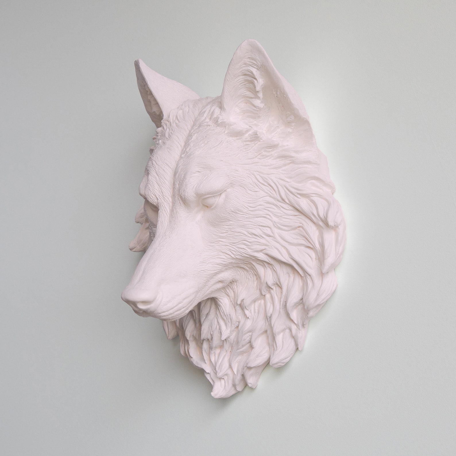 Faux Taxidermy Wolf Head Wall Mount Wall Decor Pink W06 - Etsy