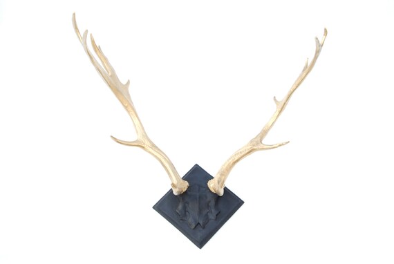 Faux Taxidermy Large Faux Deer Antlers Black Mount And Etsy