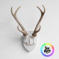 Faux Deer Antler Trophy Mount - Lightweight Resin Wall Decor