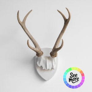 Puede incluir: Un soporte de pared decorativo con un par de cornamentas de color marrón claro unidas a una placa blanca en forma de escudo. Las cornamentas tienen un aspecto natural y texturizado. La placa tiene un diseño texturizado y esculpido. La imagen incluye una rueda de color con el texto "See more".