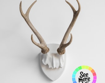 Support pour trophée imitation bois de cerf - Décoration murale en résine légère