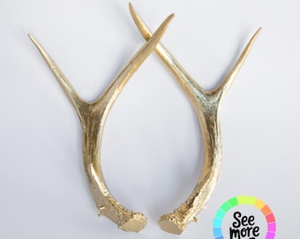 Small Faux Deer Antler Pair | Rustic Woodland Holiday Tabletop Decor | Animal Friendly