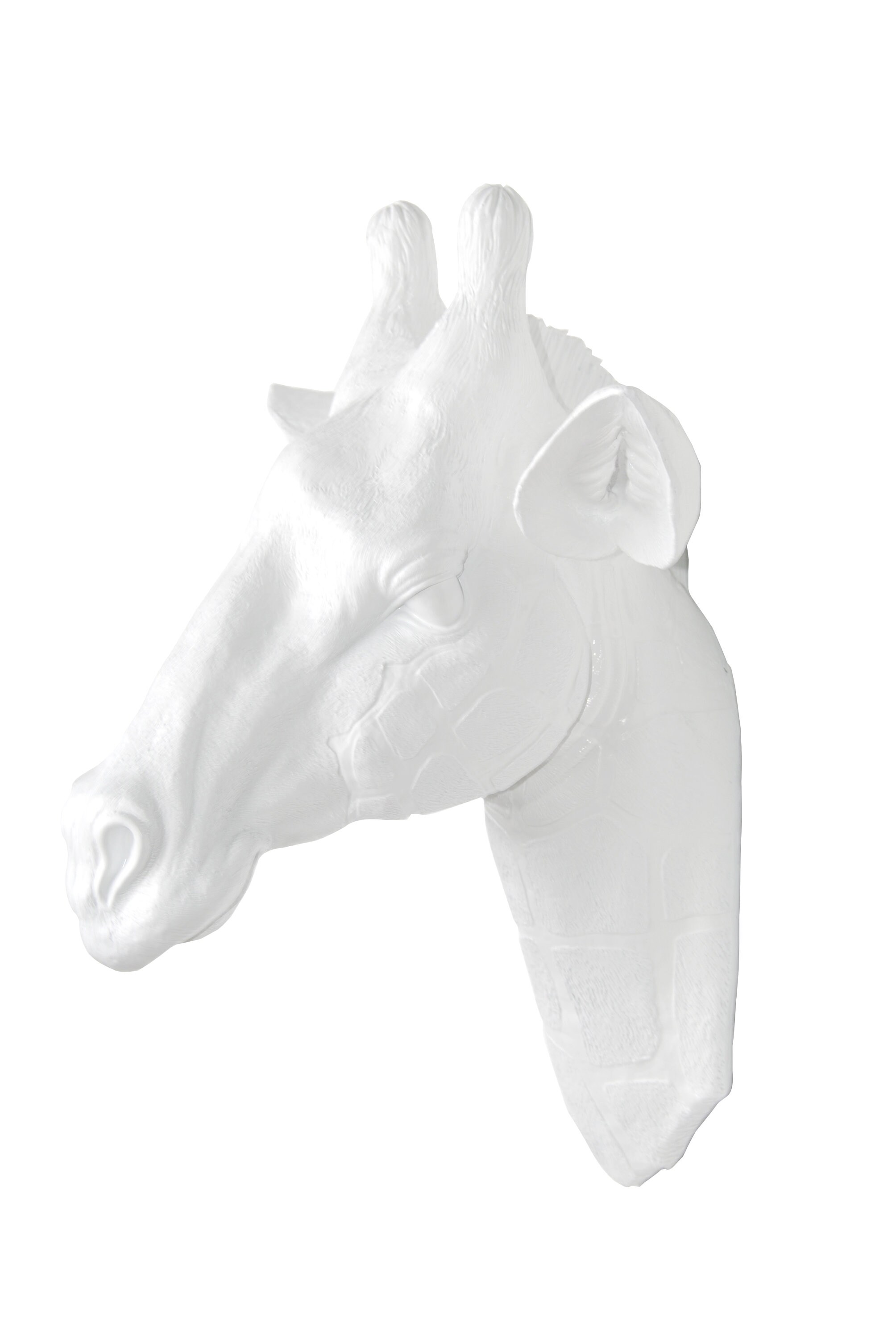 Giraffe Head Wall Mount Faux Taxidermy White Giraffe Head Etsy