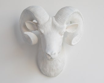 Faux Taxidermy Ram Wall Mount - Wall Decor - White - R0101