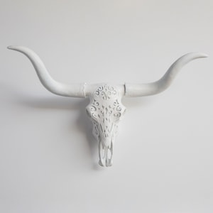 Cráneo de Texas Longhorn tallado en taxidermia falsa para montaje en pared - Decoración de pared - DTL0101