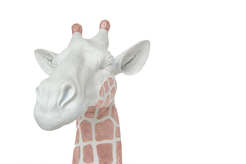 Giraffe Head Wall Mount Faux Taxidermy White Giraffe Head Etsy