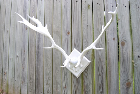 Large Faux Deer Antlers White Antler Rack Wall Mount La01 Etsy