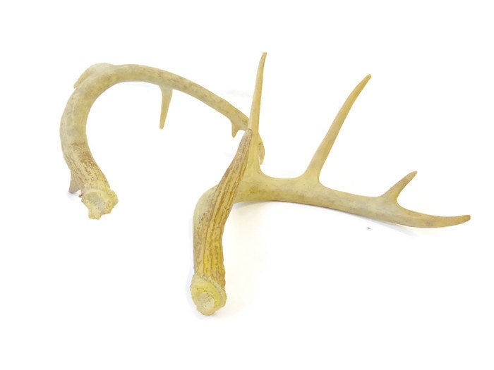 Pair of Replica Large Antlers Faux Taxidermy Antler Decor Etsy