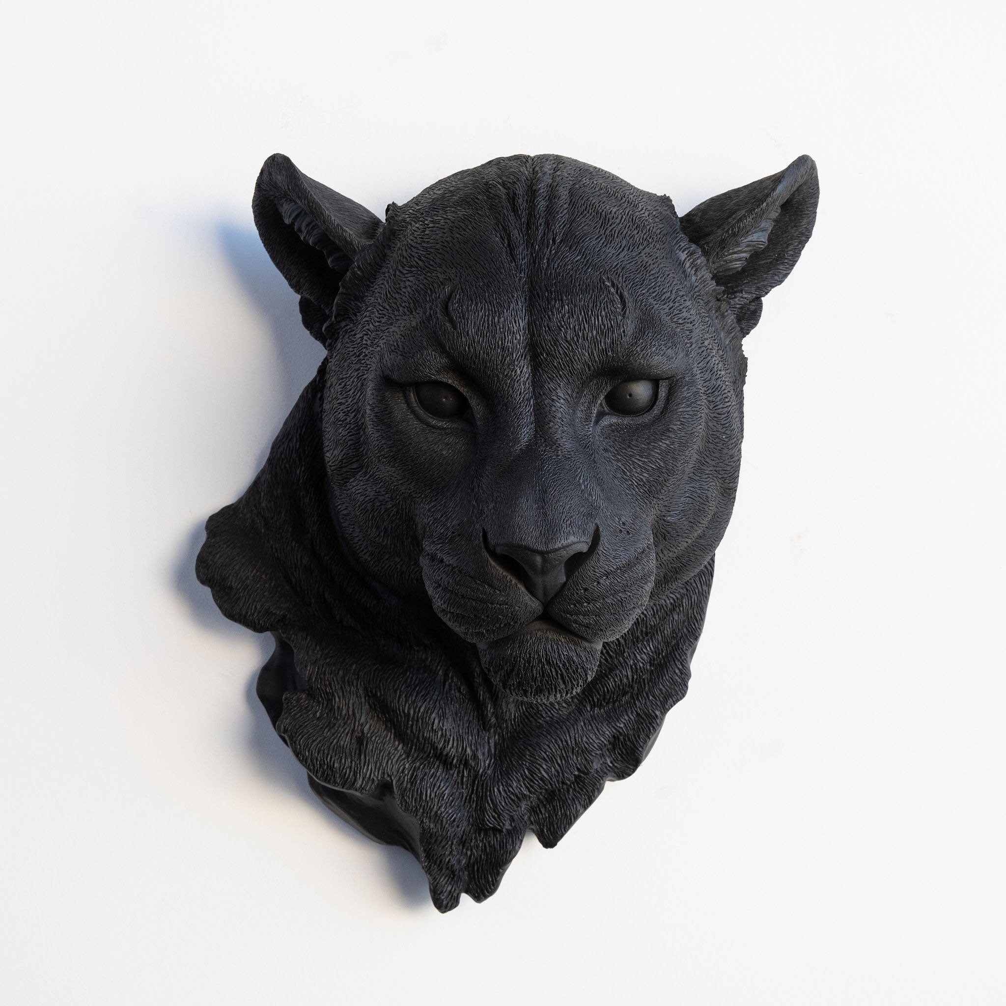 Головы животных всех. Голова тигра на стену. Головы животных. Головы животных. Сон головы животных.