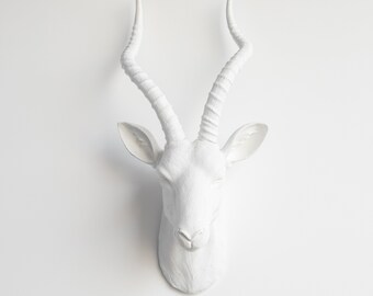 Faux Taxidermy Antelope Head Wall Mount - Wall Decor - White - ANT0101