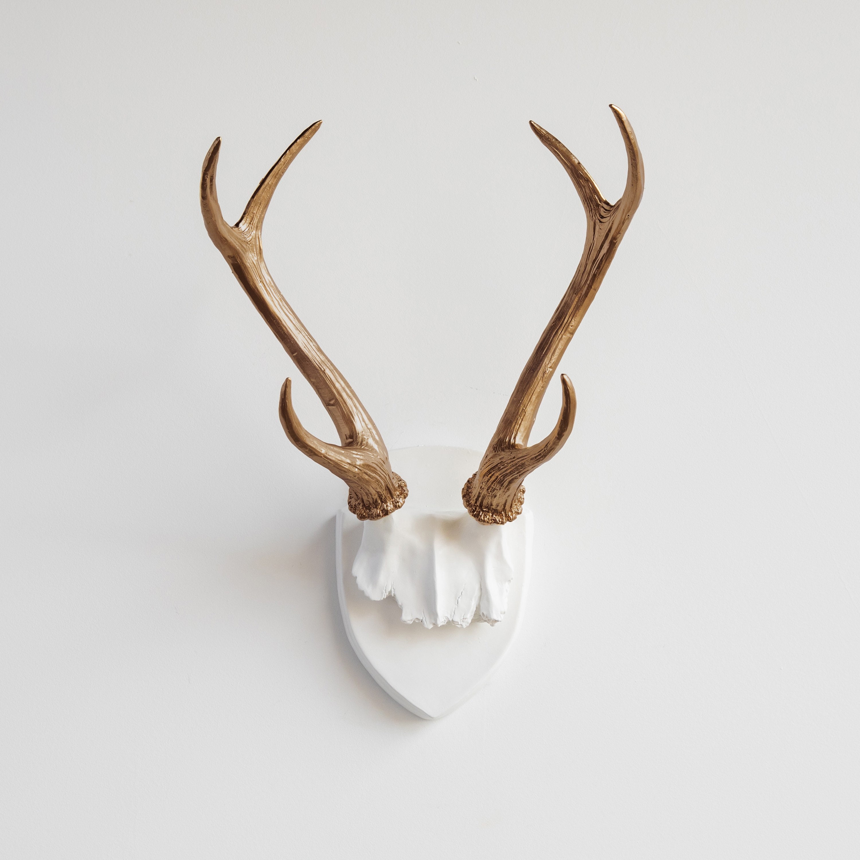 Faux Taxidermy Antler Rack Trophy Mount Wall Decor White Etsy Singapore