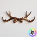 Faux Antler Wall Hook | Rustic Key Holder | Farmhouse Wall Decor