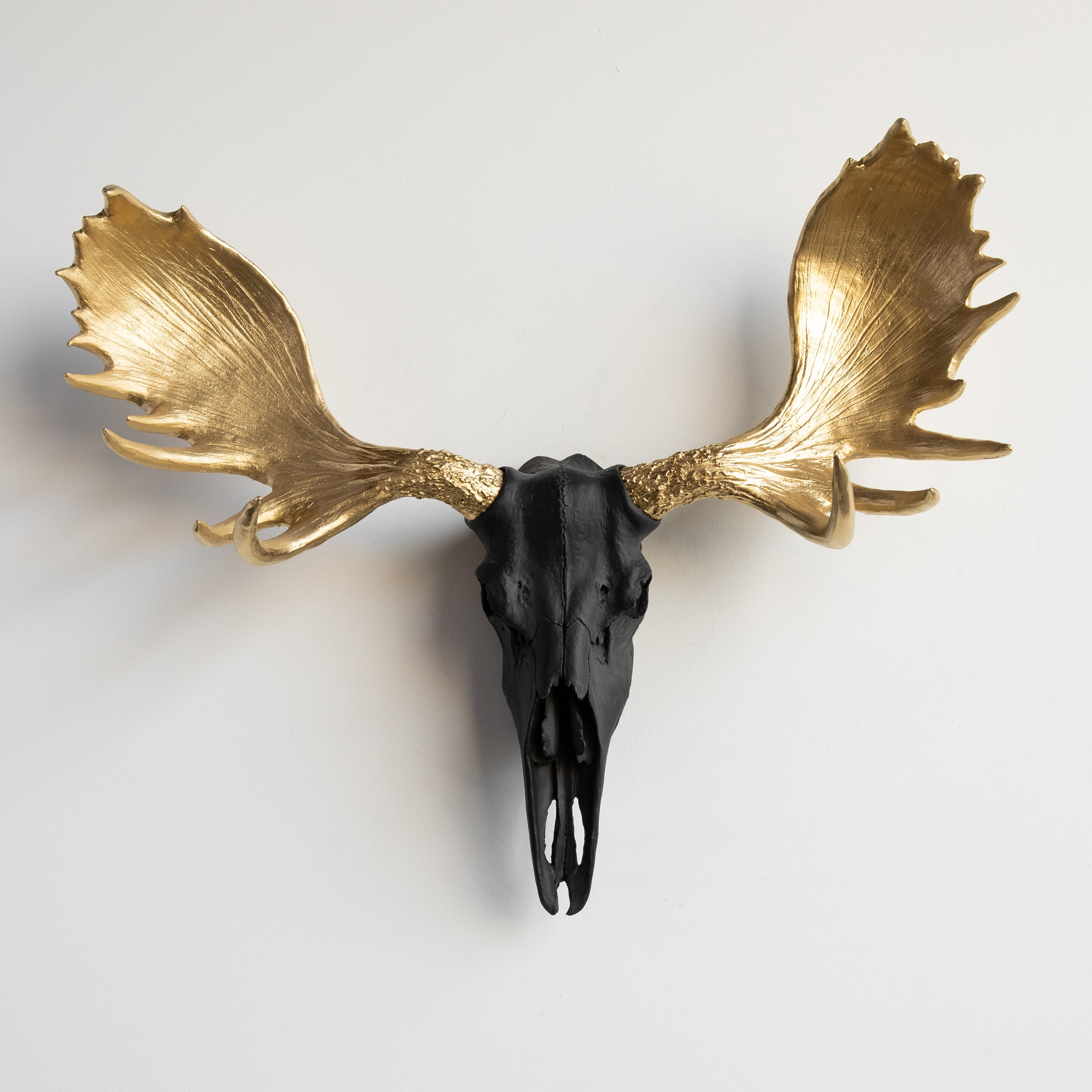 Faux Taxidermy Moose Skull Wall Mount Muur decor Zwart en | Etsy