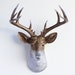 see more listings in the Deer section