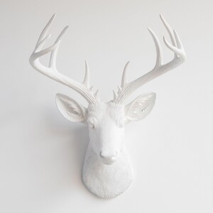 Faux Taxidermy Large Deer Head Wall Mount - Wall Decor - White - ND0101