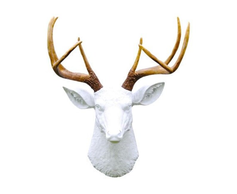 Deer Head Wall Mount White And Brown Antlers - Deer Head Wall Mount Deer Head Wall Mount White And Brown Antlers - Deer Head Wall Mount