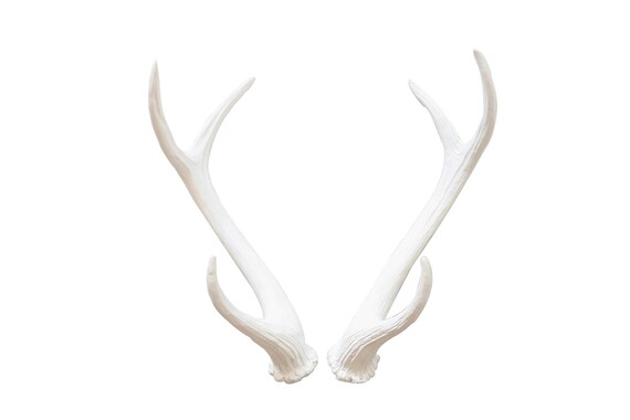 White Antler Decor White Resin Unique Deer Antlers Six Etsy