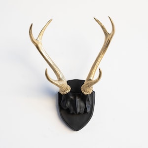 May include: Gold-painted deer antlers mounted on a black plaque. The antlers are a popular home decor item.