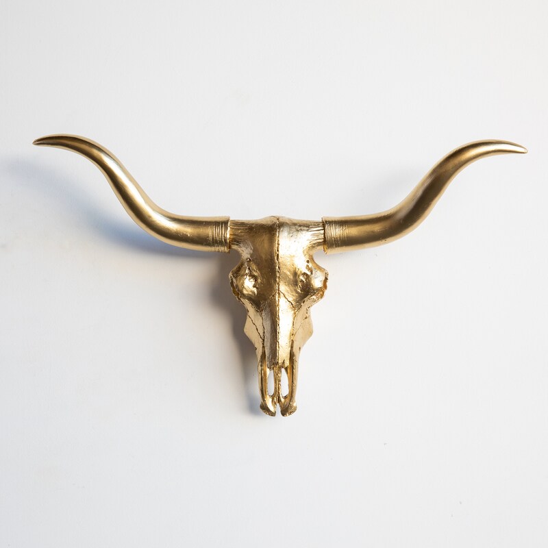 Longhorn Wall Art - Etsy