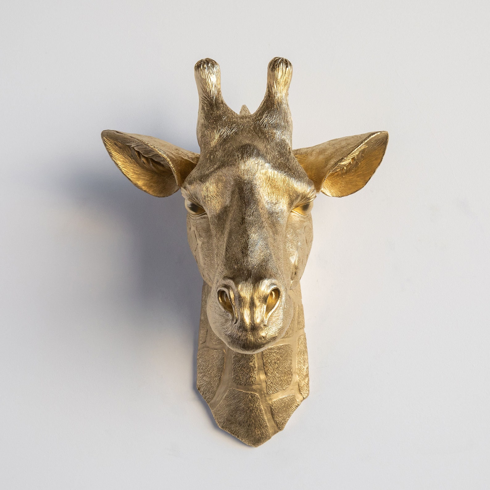 Faux Taxidermy Giraffe Head Wall Mount Wall Decor Gold - Etsy