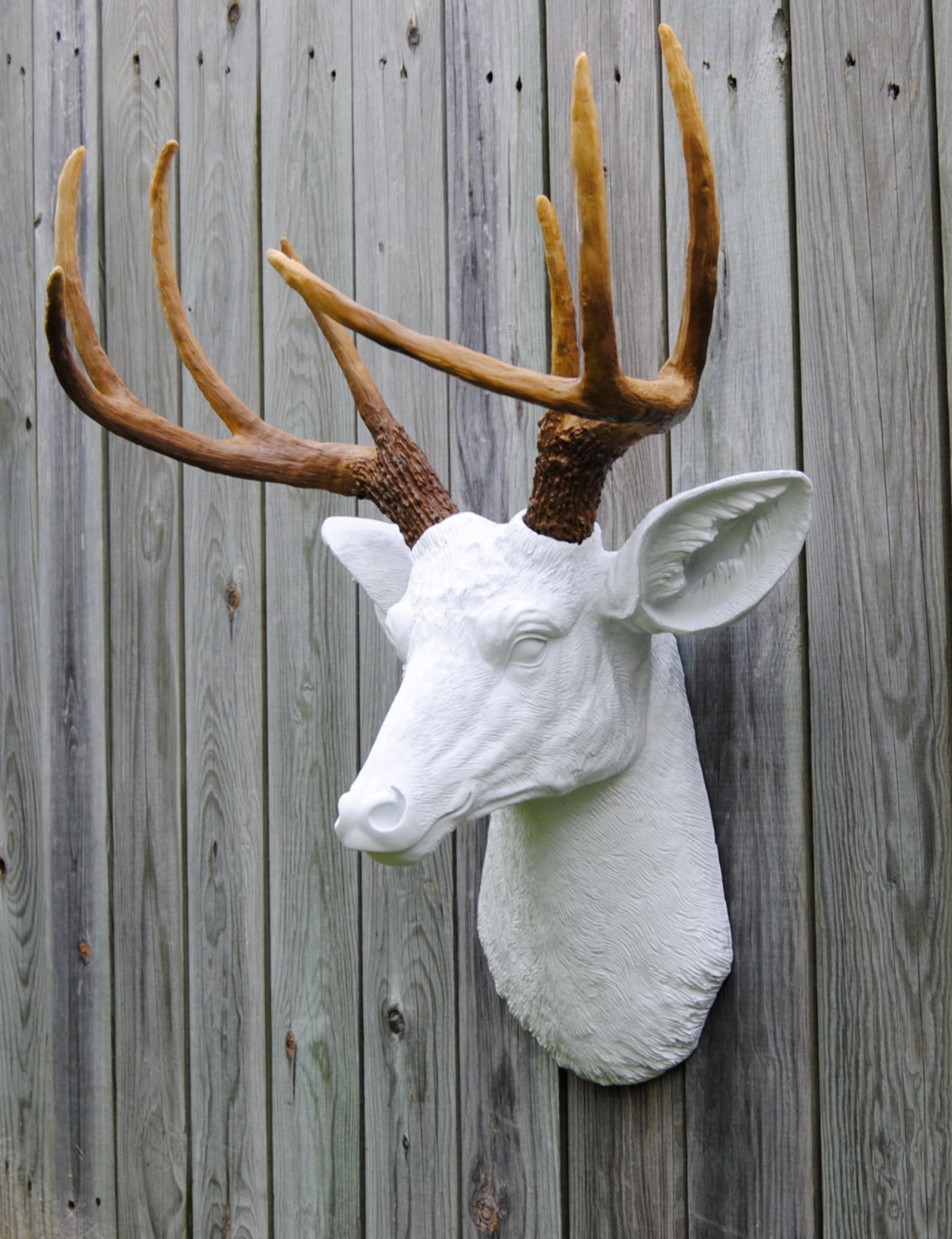 Deer Head Wall Mount White and Brown Deer Head Antlers Etsy