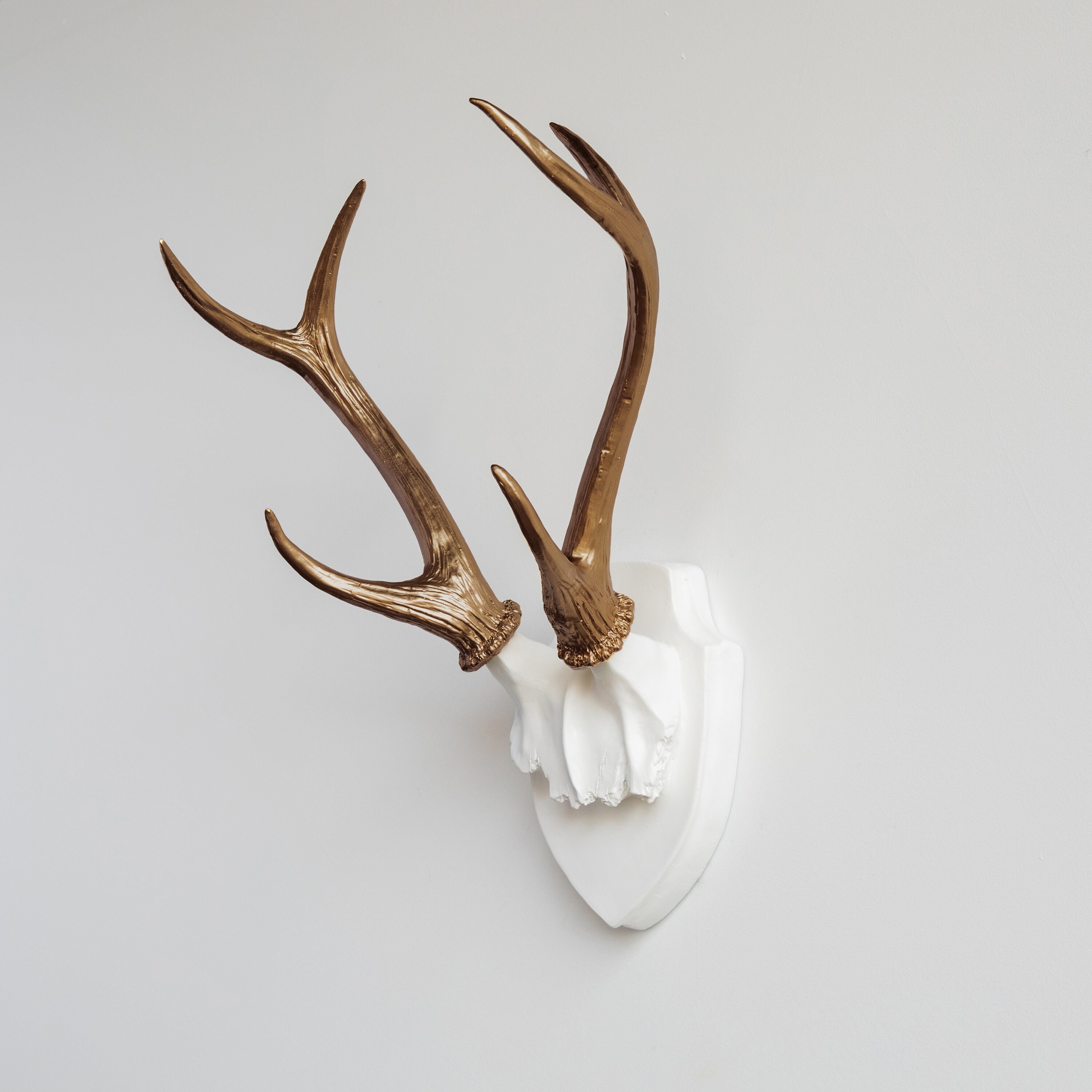 Faux Taxidermy Antler Rack Trophy Mount Wall Decor White Etsy Singapore