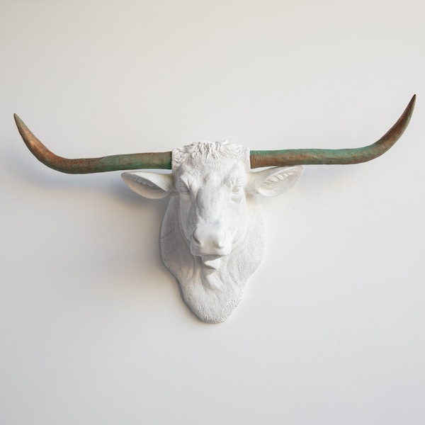 Longhorn Wall Mount Etsy
