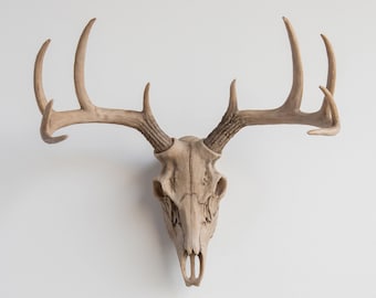 Faux Taxidermy Deer Skull - Wall Decor - Bone - BS00