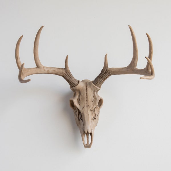 Faux Taxidermy Deer Skull - Wall Decor - Bone - BS00