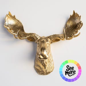 May include: A gold-coloured moose head wall decoration with large antlers. The moose head is mounted on a white wall. The image includes a colourful graphic with the text "See more".