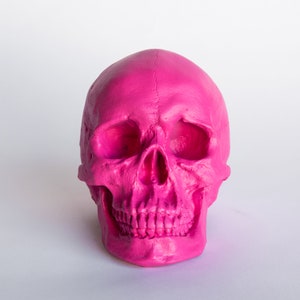 Faux Taxidermy Human Skull - Tabletop Decor - Hot Pink - SK16