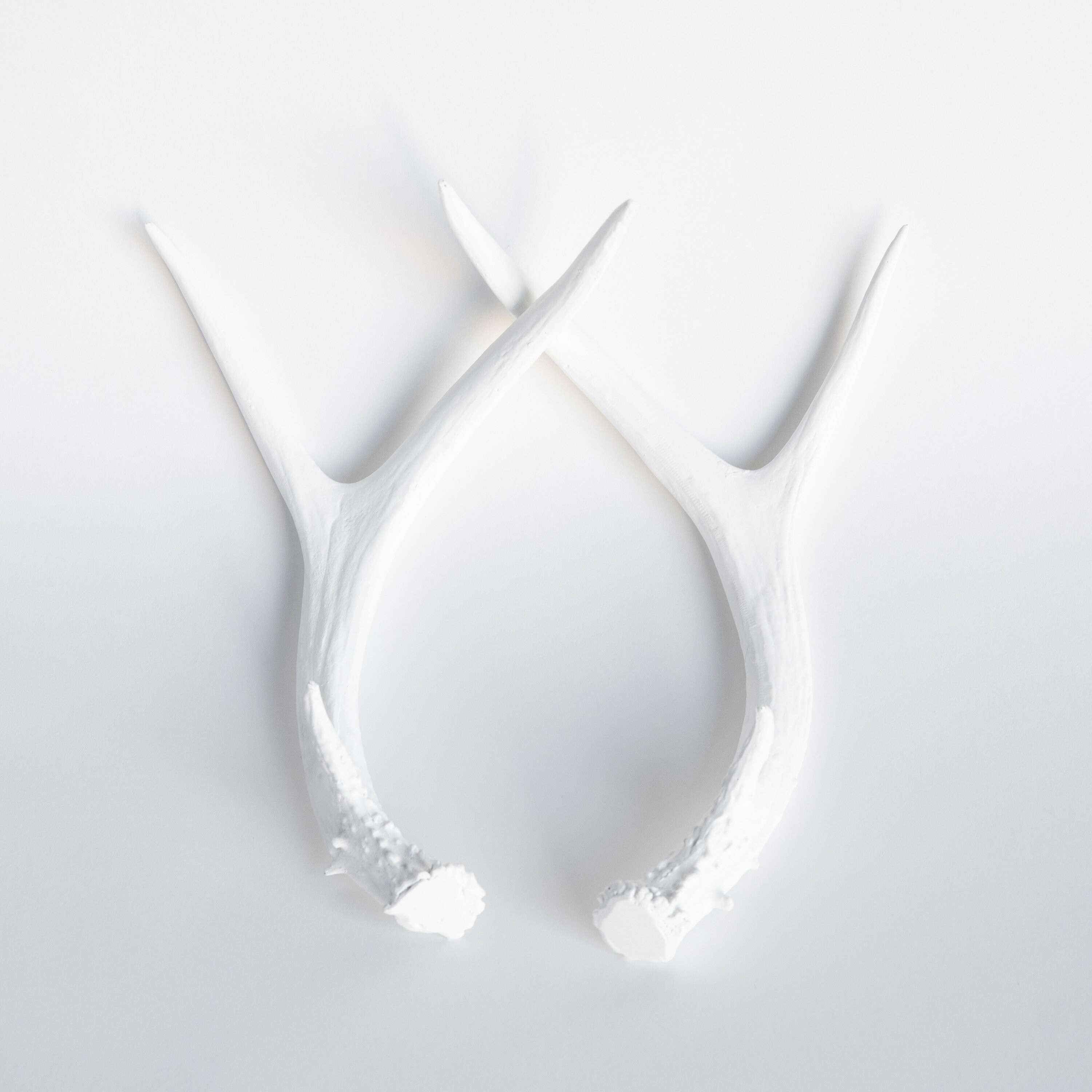 Faux Taxidermy Antler Set - Tabletop Decor - White - DA01