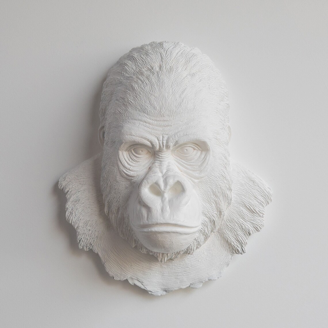 Faux Taxidermy Gorilla Wall Mount Wall Decor White GOR01 Etsy