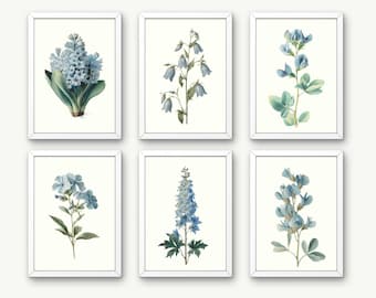 Six Different Botanical Illustrations Wall Art, Blue Botanical Print Set, Vintage Floral Illustration Wall Art Prints (Digital Download)